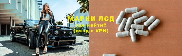 гашик Володарск