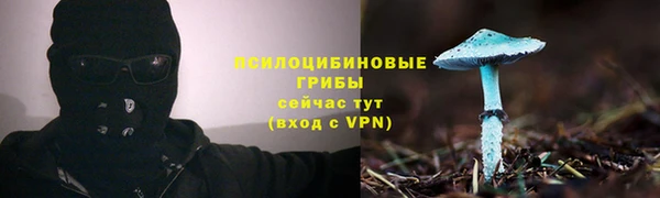 прущая мука Верея