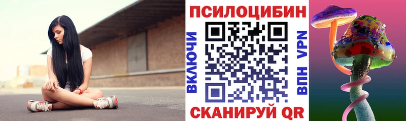 Купить закладки Кизляр Галлюциногенные грибы прущие грибы